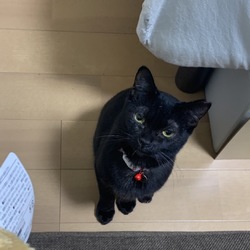 譲渡完了しました