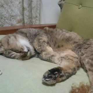 余生を穏やかに18才のおばあちゃん