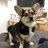 の写真