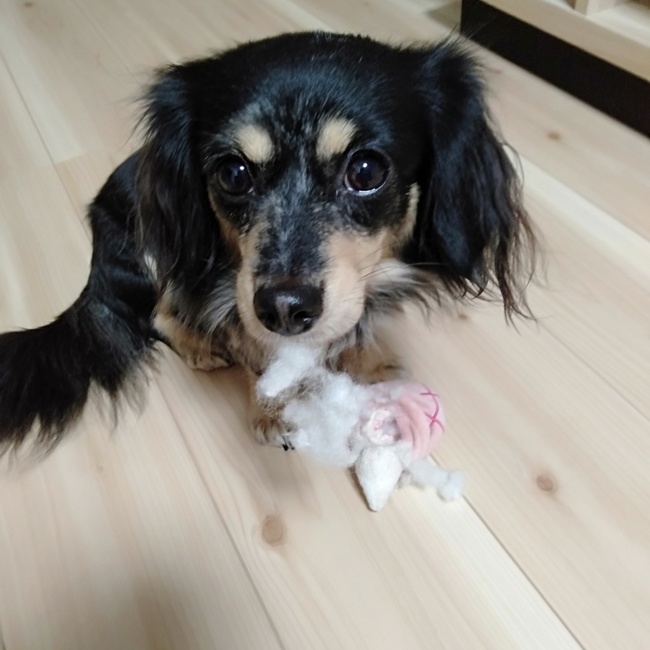 ナナメロディのカバー写真