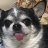 くろこたろう