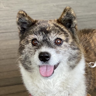 【募集一時停止中】マキちゃん