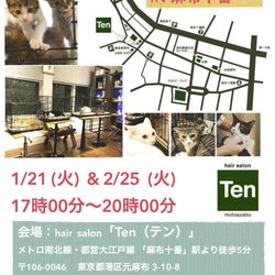 ２月２５日(火)　麻布十番ナイター里親会（ボランティアも募集中）