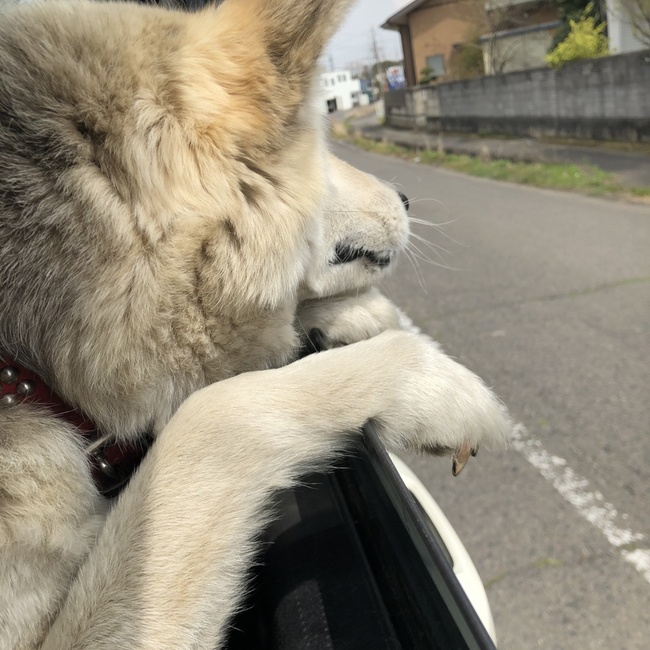 みがちのカバー写真