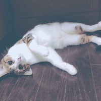 名無し