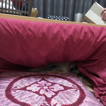 の写真