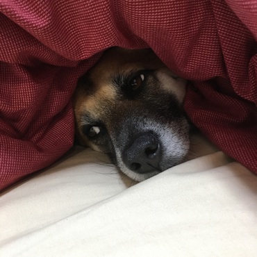の写真