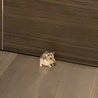 おまみどん