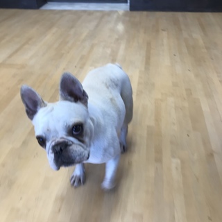 【卒業】フレンドリーな女の子