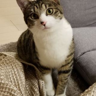 ひかるくん 生後10か月のとても賢い男の子