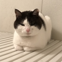 あめ