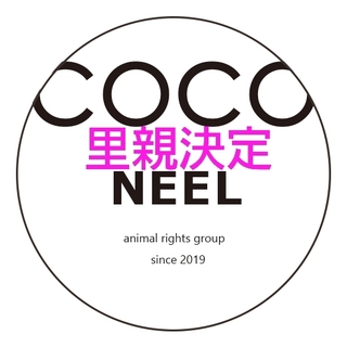 フレブル推定2歳コルクくん