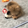 虎太郎【こたろう】さん
