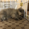 ◆R1.10.18◆〜はじめてのおうち〜
