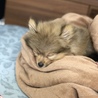 ◆R1.11.14◆〜お布団にて〜