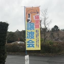 第７回 保護猫譲渡会IN山口県    サムネイル2