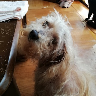 急募！！新しい家族募集してます！！