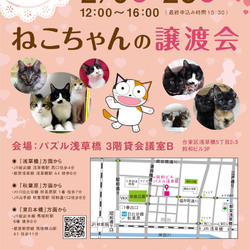 ねこざんまい譲渡会@浅草橋