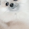 素敵なご縁がありました。