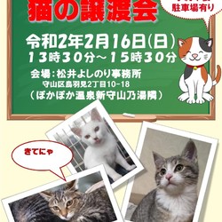 保護猫の譲渡会in守山