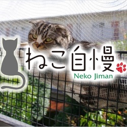 ＴＶ放送「ねこ自慢」