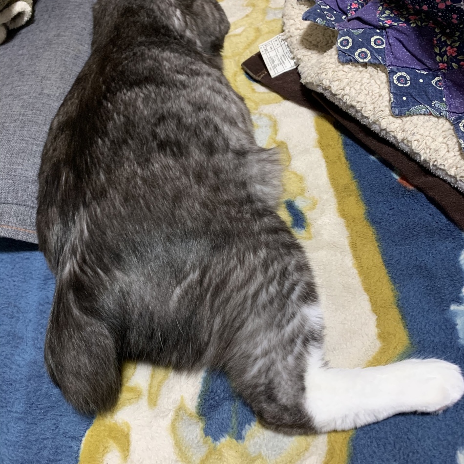 宮口あむのカバー写真