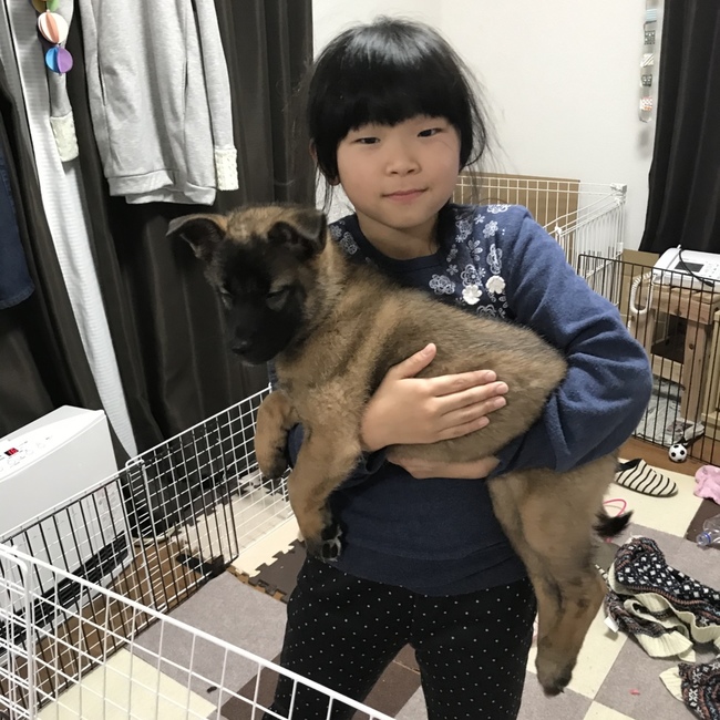 ケンタ927のカバー写真