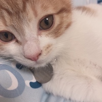 ぱるんこ
