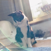 まる