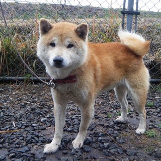 少し小さめな目がチャームポイント