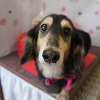 良いご縁に繋がりました。