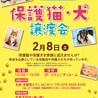保護猫・犬 譲渡会inララガーデン春日部