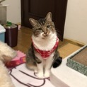 人が大好き。優しいママを待っています。