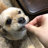 美味でございますぅ〜☆
