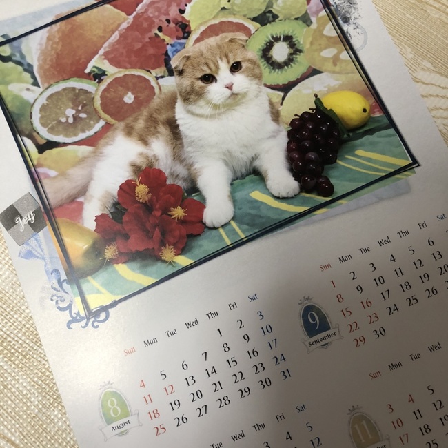 ぱぷこのカバー写真