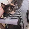 の写真