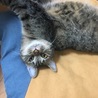 の写真