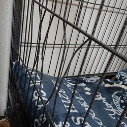 やっぱり暴れちゃうのねアグロ、、