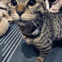虎次郎