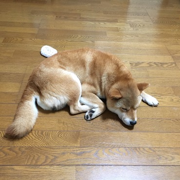 の写真