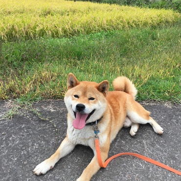 の写真
