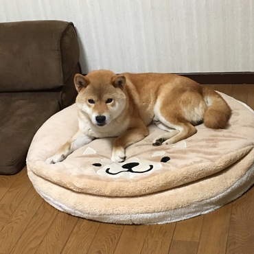 の写真