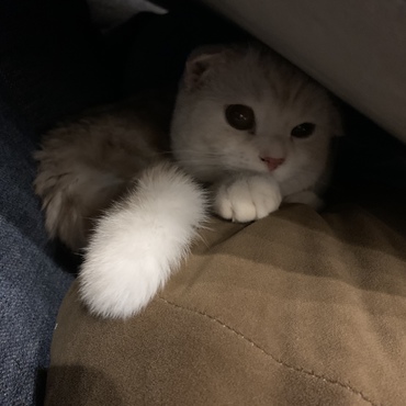 かくれんぼ♡