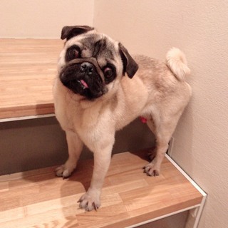 他の疾患が見つかり治療になりました