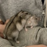 あやと^_^