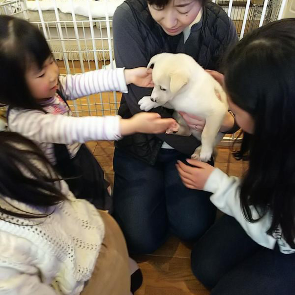 クリム（クーちゃん）のカバー写真
