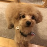 とっても元気なポンドくん♪ サムネイル3