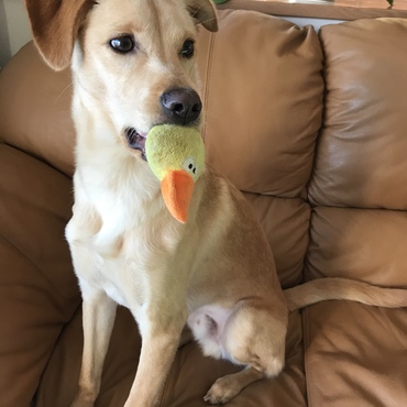 ボクの今日のお気に入り