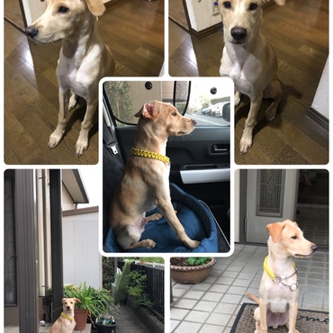 お行儀がいいでしょ