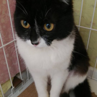 ゴロゴロ女子に変身しました!!